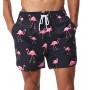 SILKWORLD Mens Swim Trunks Quick Dry Shorts with Pockets